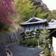 Image for article titled Sometimes Japan Really Looks Like Japan